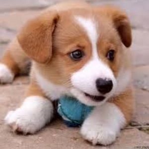 Meet your Posher, Claire